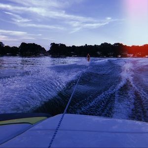 Meet your Posher, Lily